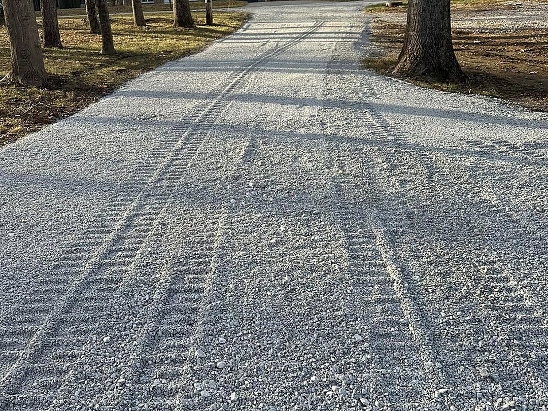 Tyre-tracked gravel drive through a stand of trees after grading